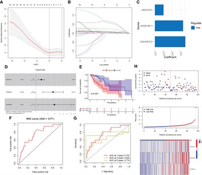 Prognostic model based on m6A-associated lncRNAs in esophageal cancer